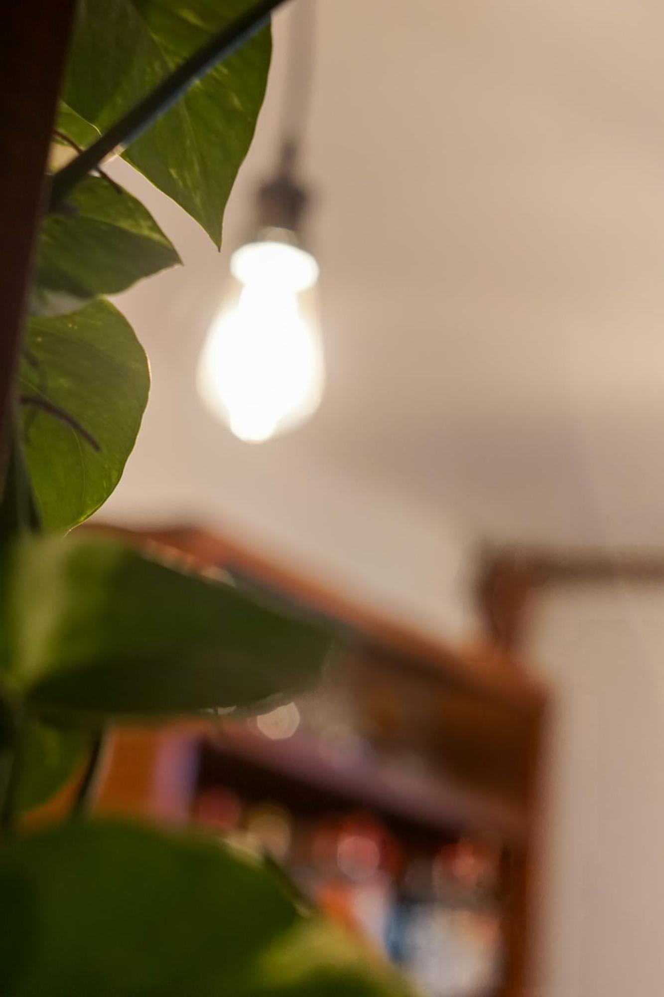 La Puesta Del Sol B&B Puerto Carrillo Dış mekan fotoğraf